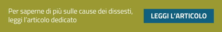 Clicca per leggere l'articolo sulle cause dei dissesti